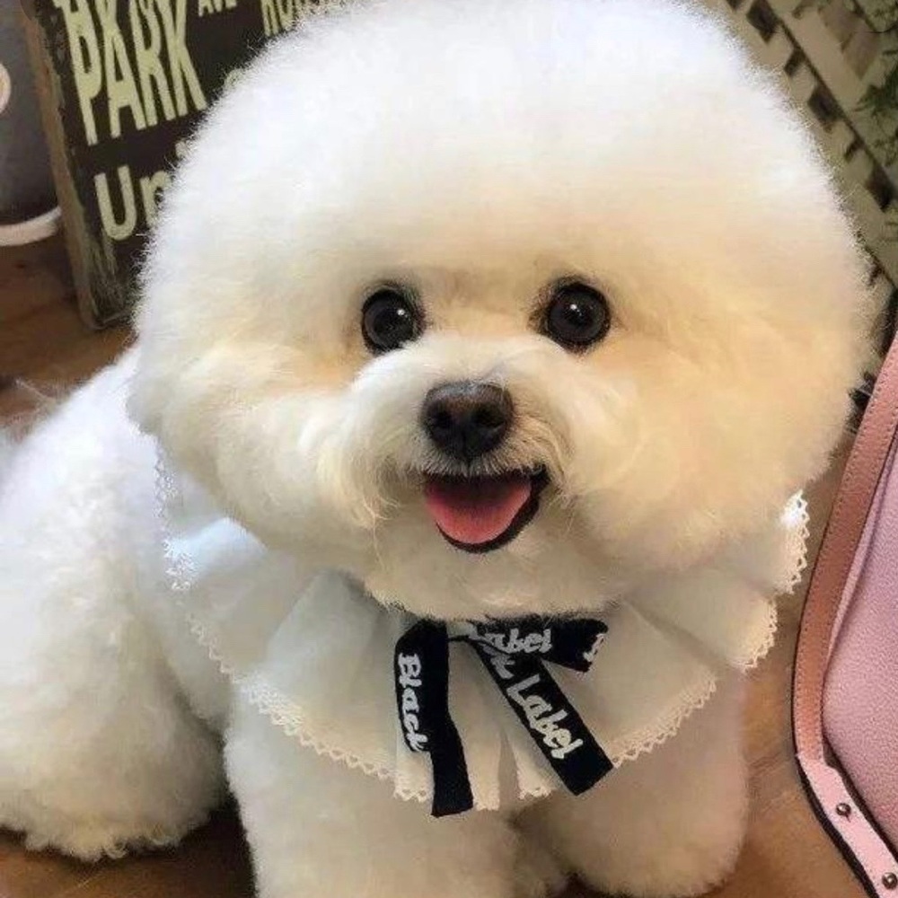 Meet your Posher, Ting